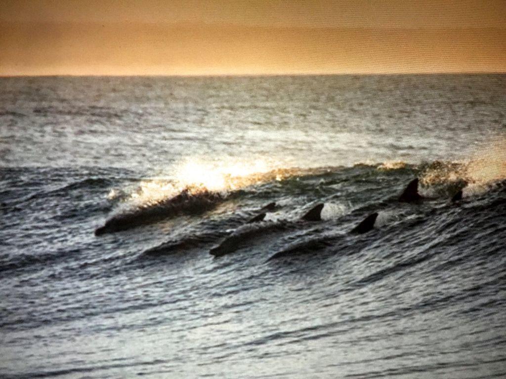 Amelia Island Oceanfront Condo Amelia City Εξωτερικό φωτογραφία